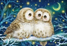 1000-pieces jigsaw puzzle "Moonlight Whispers" Owl 49 x 72cm 1000-176