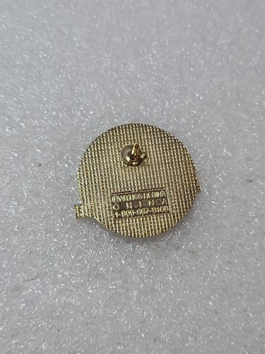Pin de solapa Melita & Area Lions Club International Chartered 1976 5M13 - Imagen 3 de 4