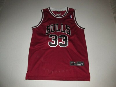 Vintage Team Nike Scottie Pippen Chicago Bulls NBA #33 Basketball