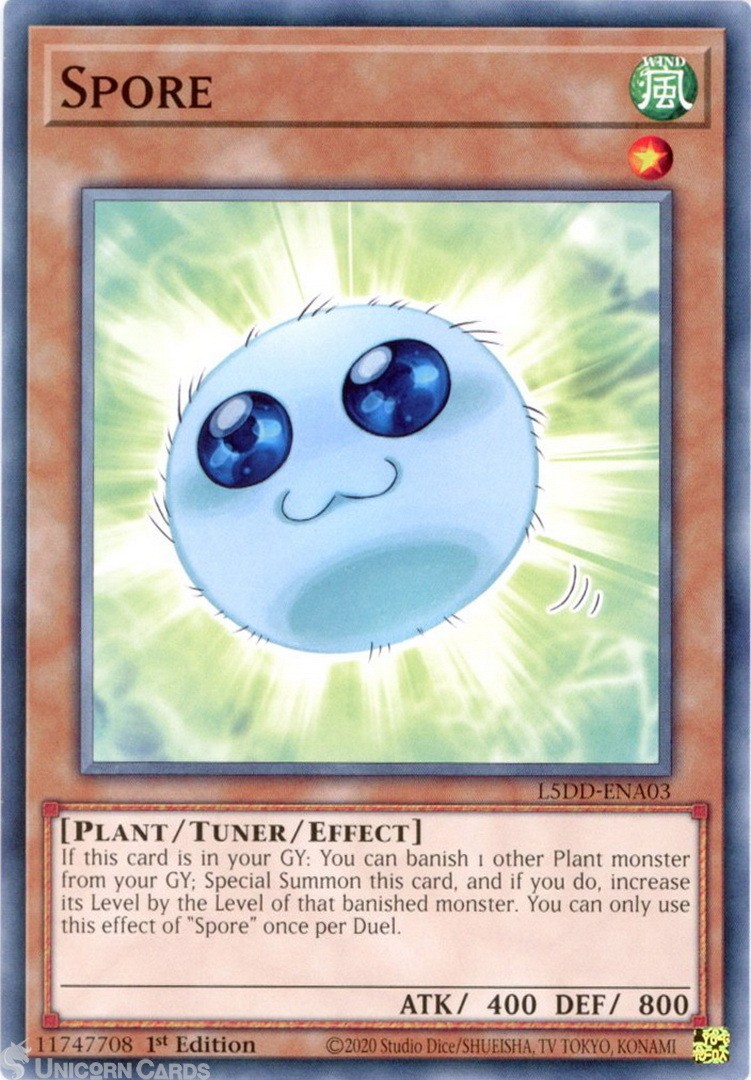 L5DD-ENA03 Spore : Common 1st Edition Mint YuGiOh Card