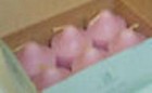 Partylite1 Box Spiced Plum Votives Nib low ship