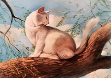 Pet Portraits: Let Your Love Express Through Cute Pet Portraits