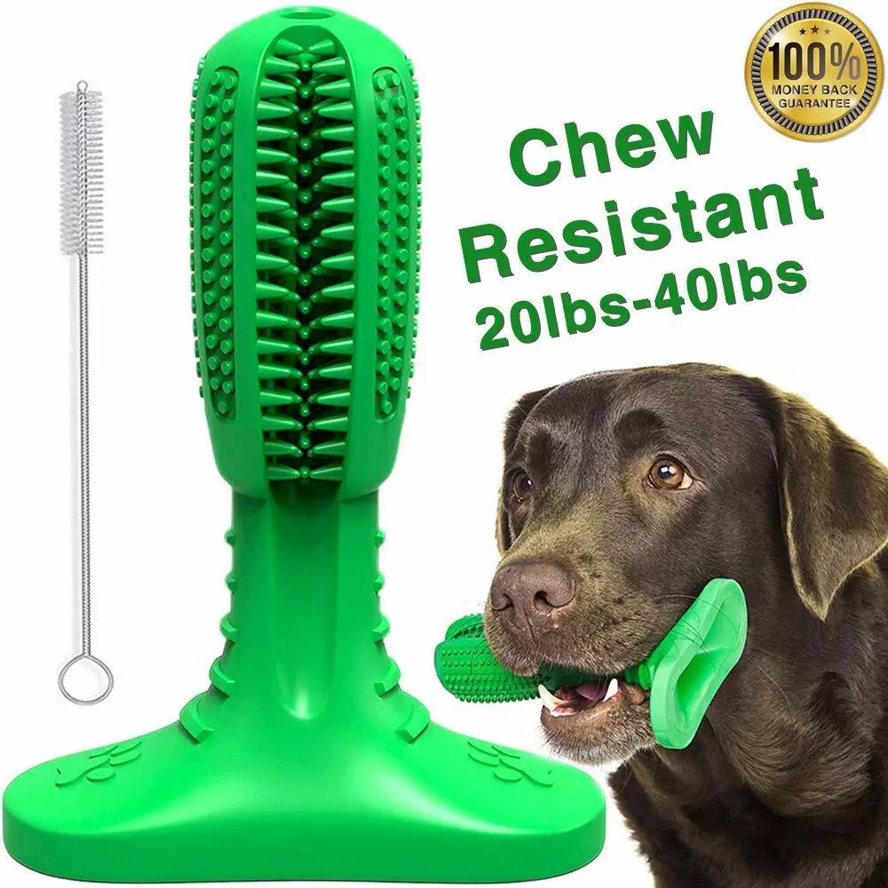 Dog Toothbrush Stick Teeth Cleaning