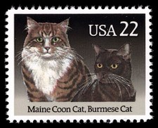 12x CATS Maine Coon & Burmese 1988 22c francobollo Stati Uniti inutilizzato come nuovo NH