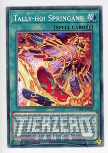 Tally-ho! Springans PHHY-EN054 Photon Hypernova Common 1st Edition