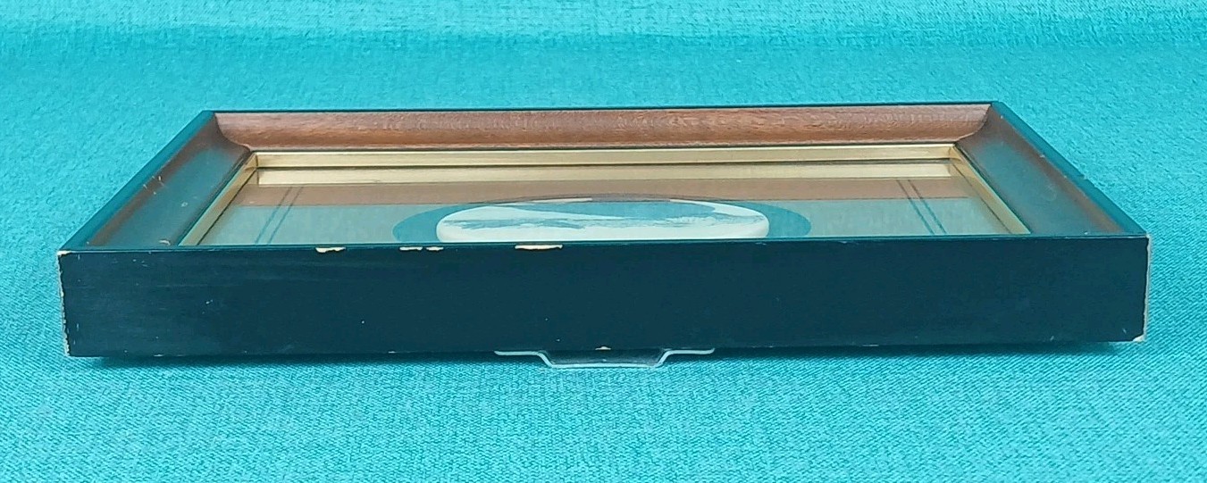 Picture 7 of 16