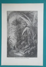 PARIS Inside Botanical Garden Jardin des Plantes France - 1875 Engraving Print