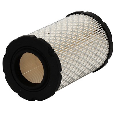 Luftfilter für Briggs & Stratton 594201 590825 591334 796031 797704 MIU13038 NEU