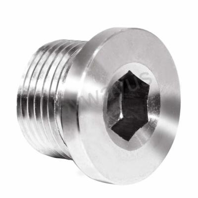 Internal Hex Head Pipe Plug Socket M36x1.5 Thread Stainless Steel Pipe Fitting