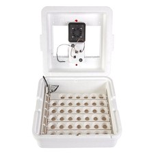 Incubadora digital Little Giant 11300 Deluxe con ventilador y girador automático de huevos