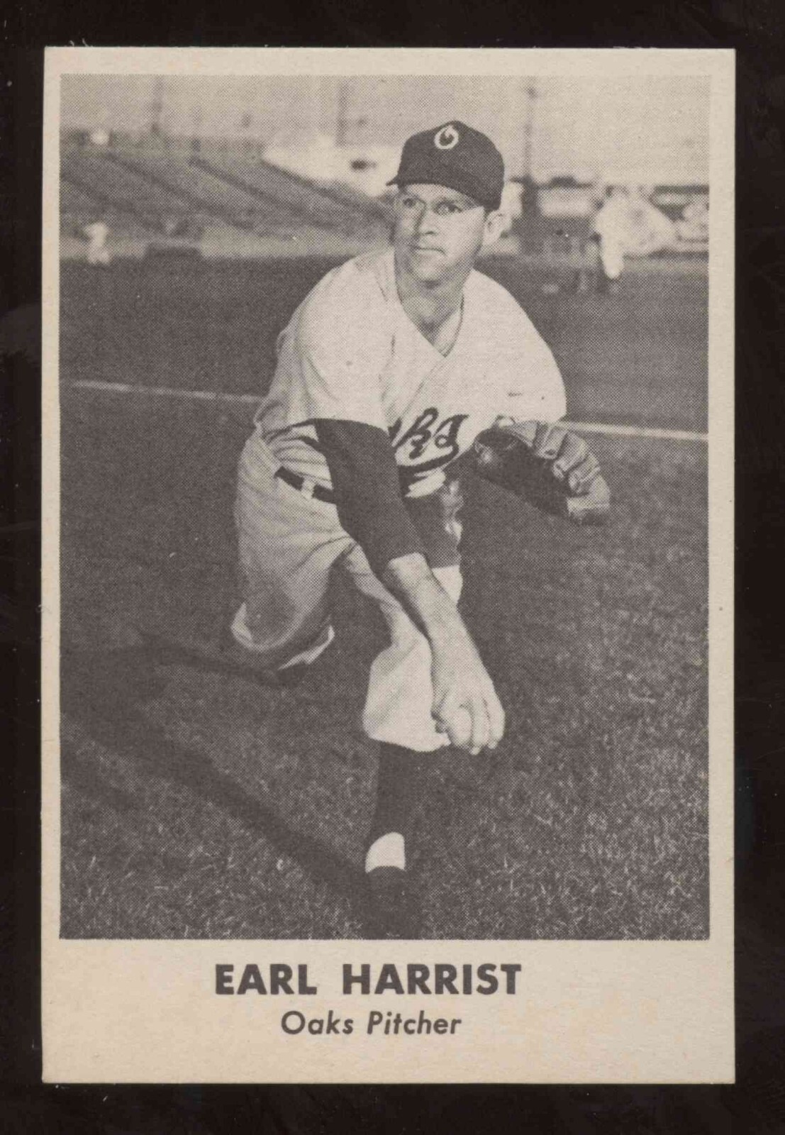 Picture 10 of 27