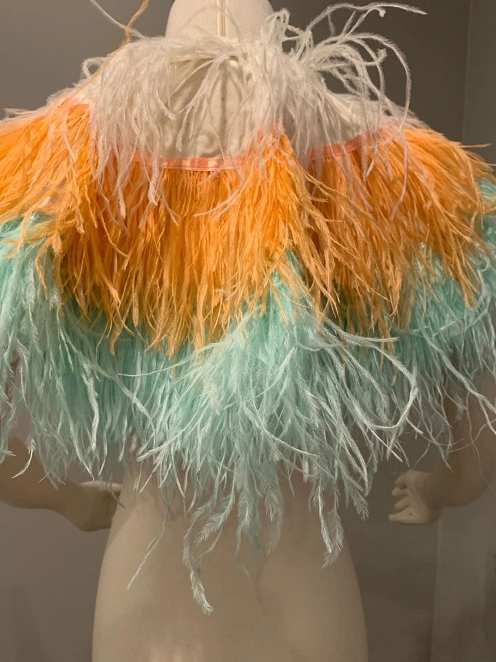 $168 Alice Mary Lynch X Anthropologie Plumas Plumadas Princesa Tutú de Vestir Nuevo con Etiquetas Foto 2 de 4