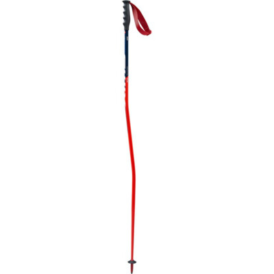 Swix World Cup Pro Super-G Ski Poles 