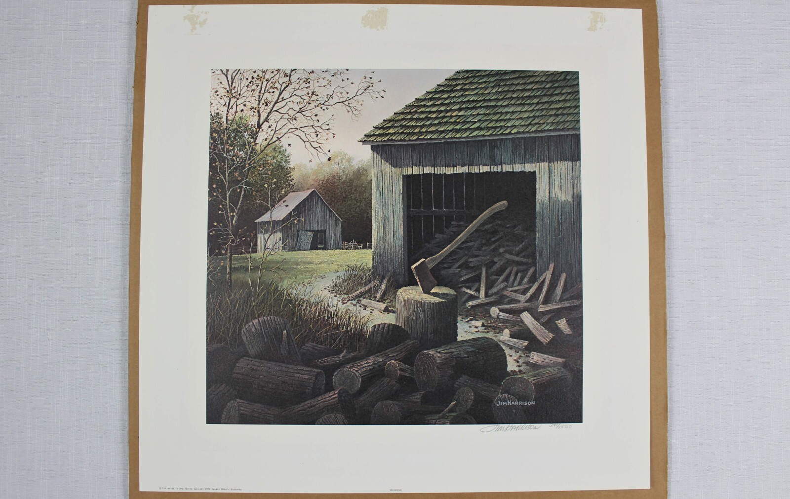 Picture 5 of 10
