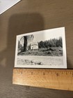 vtg Lake Tahoe California SIERRA SKI RANCH sign Photo Placerville, Ca c.1949 — photo 4
