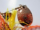 Bild 4 von 5