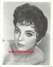 VINTAGE Joan Collins BEAUTY GLAMOUR 50s MGM Publicity Portrait