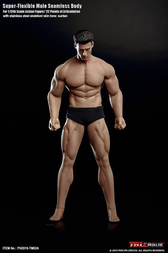 1/12 Scale TBLeague TM02A Super Muscle Male Seamless Body 6 inche Figure Model - Picture 5 of 10