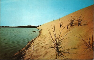Beach Grass Sand Dunes Waters Edge Cape Cod Massachusetts MA VTG Postcard UNP