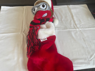 AFL GENUINE ESSENDON CHRISTMAS STOCKING AS NEW AWESOME BOMBERS