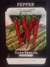 1930-40s Litho Antique Vintage Seed Packet Pepper Cayenne Card Seed Co Pack Mint