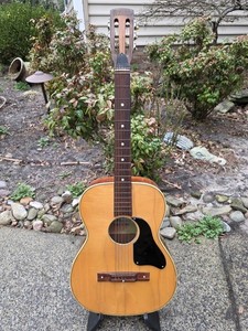 💥Video💥PANaramic Acoustic Guitar Made In Italy Carved Pressback VIntage 1960s