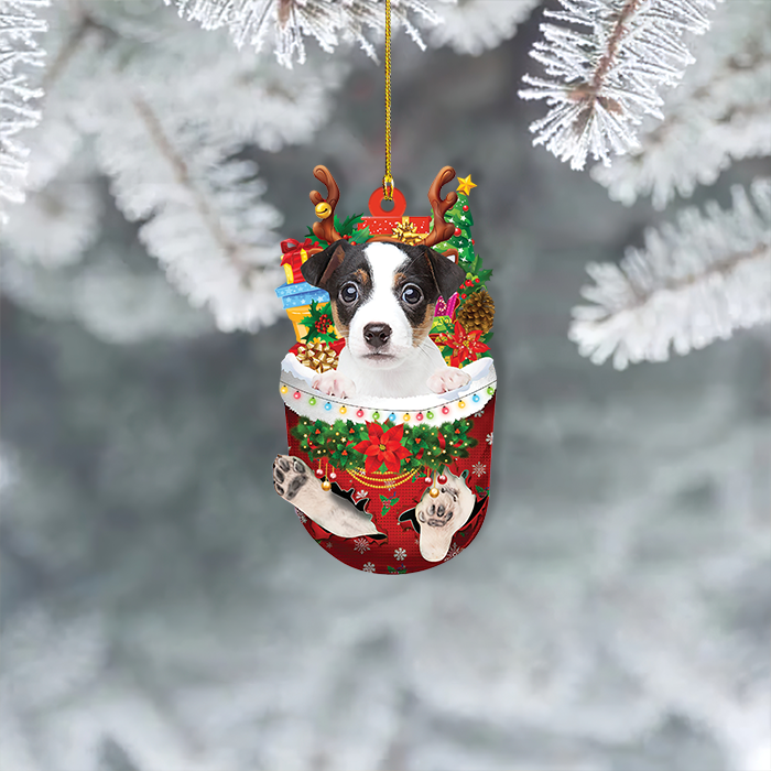 Dog Breed Jack Russell Terrier In A Red Raincoat Sits On A Road In A Green Forest Image259571070