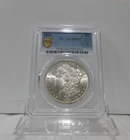 GOLD SHIELD / SPECIAL LABEL!  1884-P  Morgan Silver Dollar, PCGS MS-64!