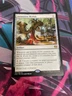 MTG - ANIMATION MODULE - RARE - KALADESH - NM