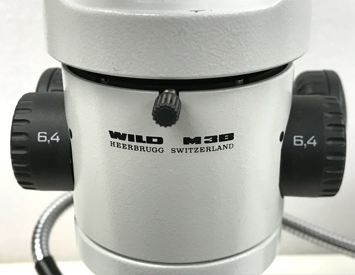 Wild M3B Stereo Microscope w/ DynaLite 150 Fiber Optic Light
