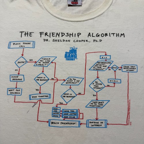 Y2K The Big Bang Theory Sheldon Cooper Friendship Algorithm Graphic Shirt Large - Picture 2 of 13