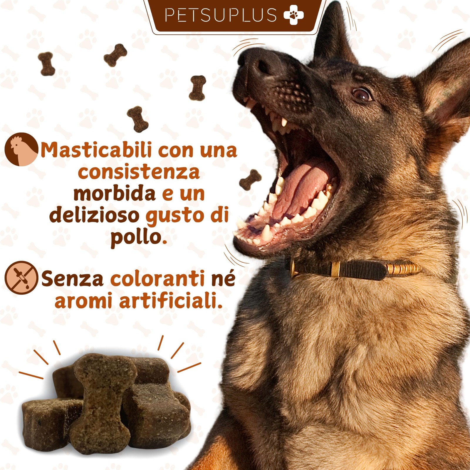 Integratore Articolazioni Cane PETSUPLUS Joint Care - Glucosamina e MSM - 4