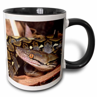 3dRose Reticulated Python Snake Two Tone Black White Mug 11oz David Northcott