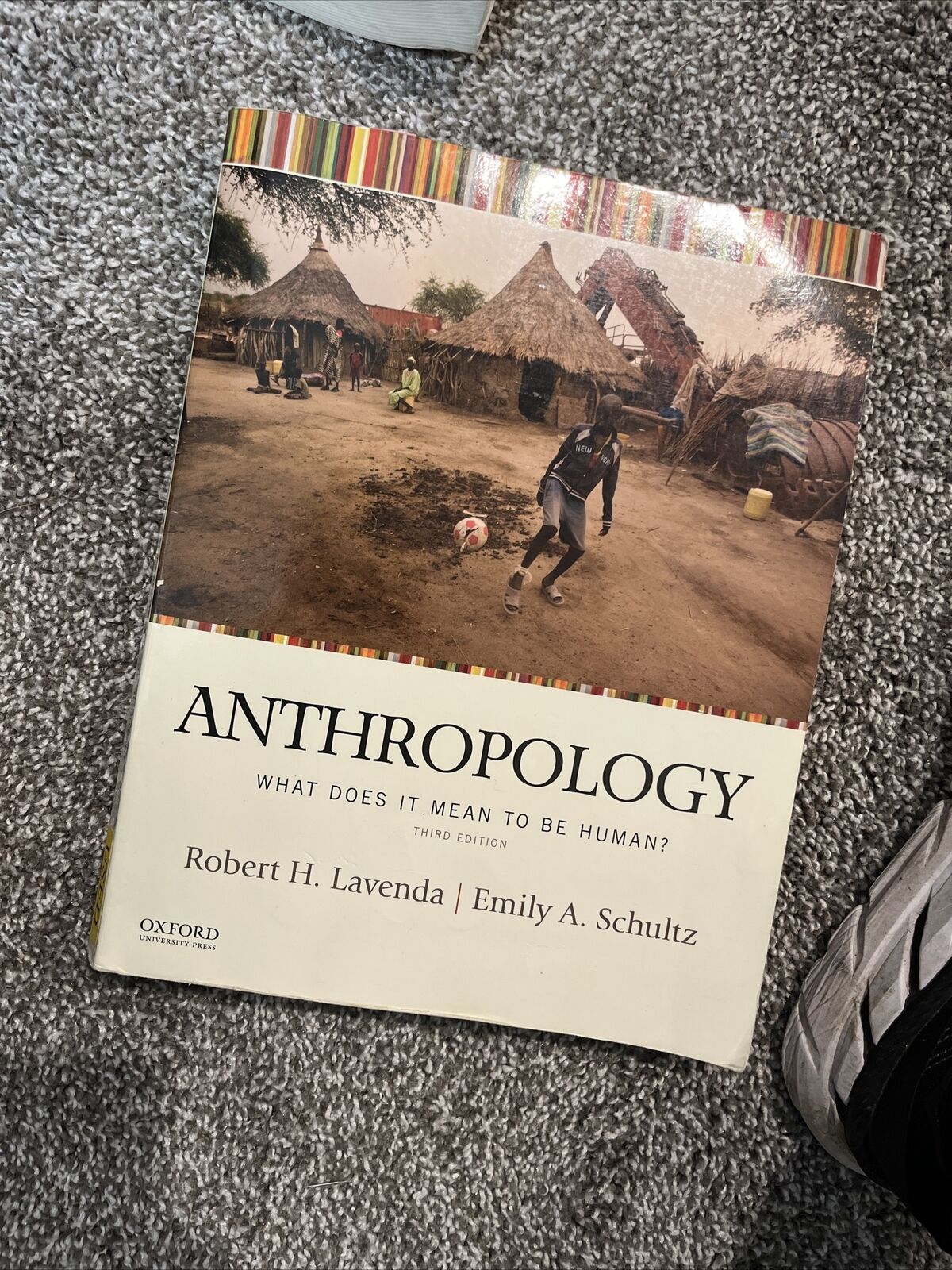 Anthropology What Does It Mean to Be Human 3Rd Edition  by Robert H. Lavenda, Emily A. Schultz 