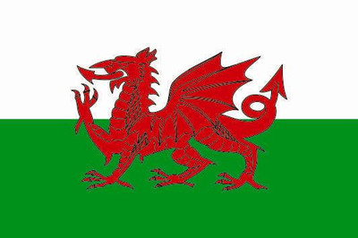 Aufkleber Wales Flagge Fahne 8 x 5 cm Autoaufkleber Sticker