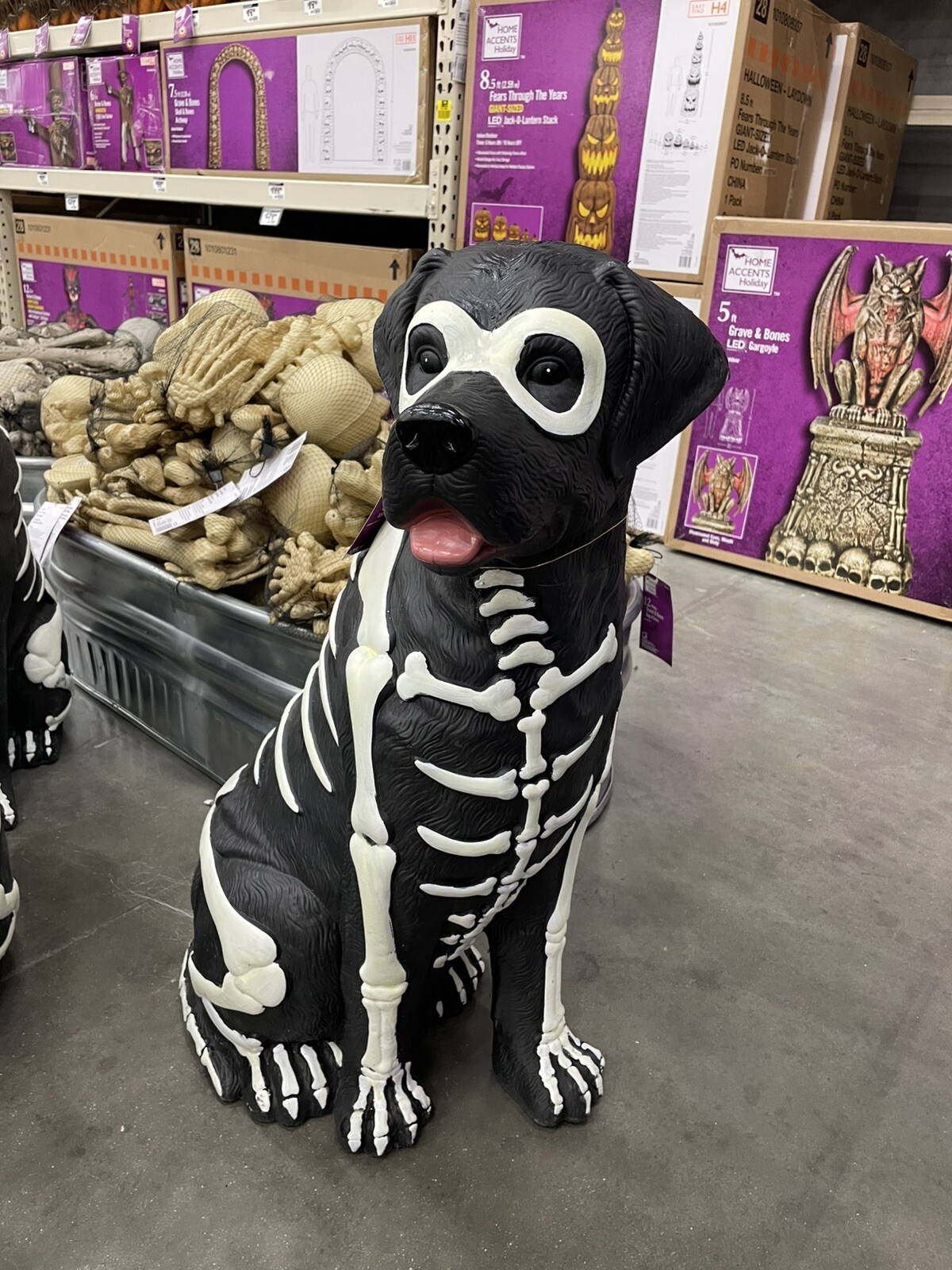 Black Lab Halloween Dog Blow Mold 2024 Home Depot Labrador 2.5Ft Glow