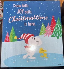 Hallmark Peanuts Worldwide LLC Decoration Collectible Preowned