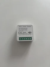Tuya / SmartLife Mini Wifi Smart Switch  16A Module Support 2 Way Control