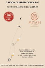 10xDay Surfcasting Rigs per Inverno - Puleggia, 2 Ganci Clipped Down Rigs per Basso