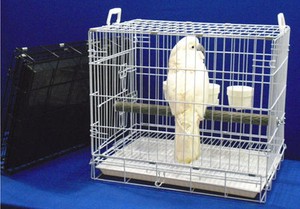 craigslist goldendoodles for sale