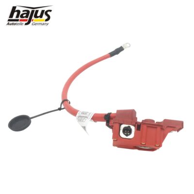 Batteriekabel/ Sicherheitskabel PLUS KABEL Air Bag Kopf Airbag Gurtstraffer BMW, € 90,- (1130 Wien