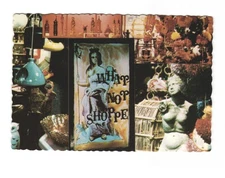 What Not Shoppe Chicago Illinois in the heart of Old Town VTG postcard Unp