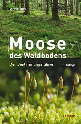 Moose des Waldbodens | Der Bestimmungsführer | Christine Rapp | Buch | 200 S.