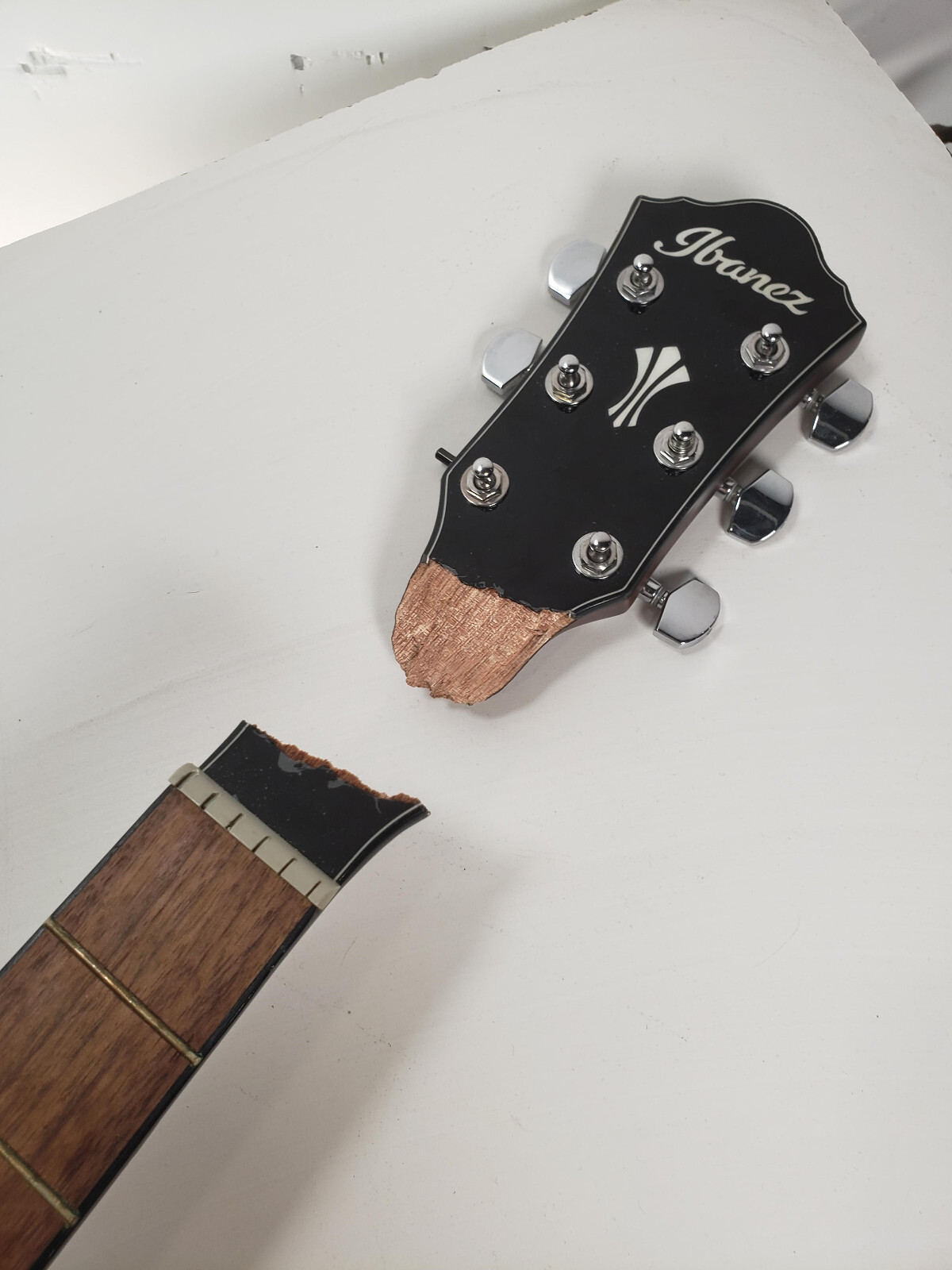Ibanez AEG50 6string Cutaway AcousticElectric Guitar Snapped Off