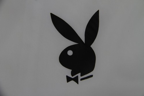 Playboy Oversize Long Sleeve Bunny Logo Button Up Windbreaker White M - Picture 4 of 8