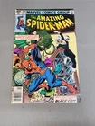 (Grade 5.0 - Very Good/Fine) - The Amazing Spider-Man #204 1980