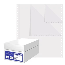 Continuous Computer Paper 9.5"x11" L&R Perf Blank 2-Pt White/White 15lb 1700/Ctn
