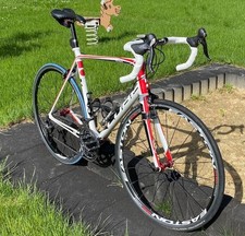 rennrad carbon