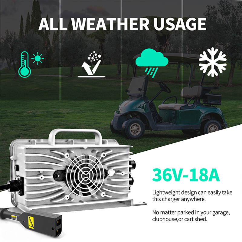 36 Volt 18Amp Golf Cart Smart Battery Charger D Style Plug for EZGO TXT Medalist