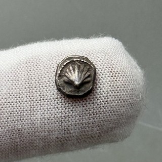 Kalabrien Taras antike römische Litra Muschel Münze (480 v. Chr. 470 v. Chr.)